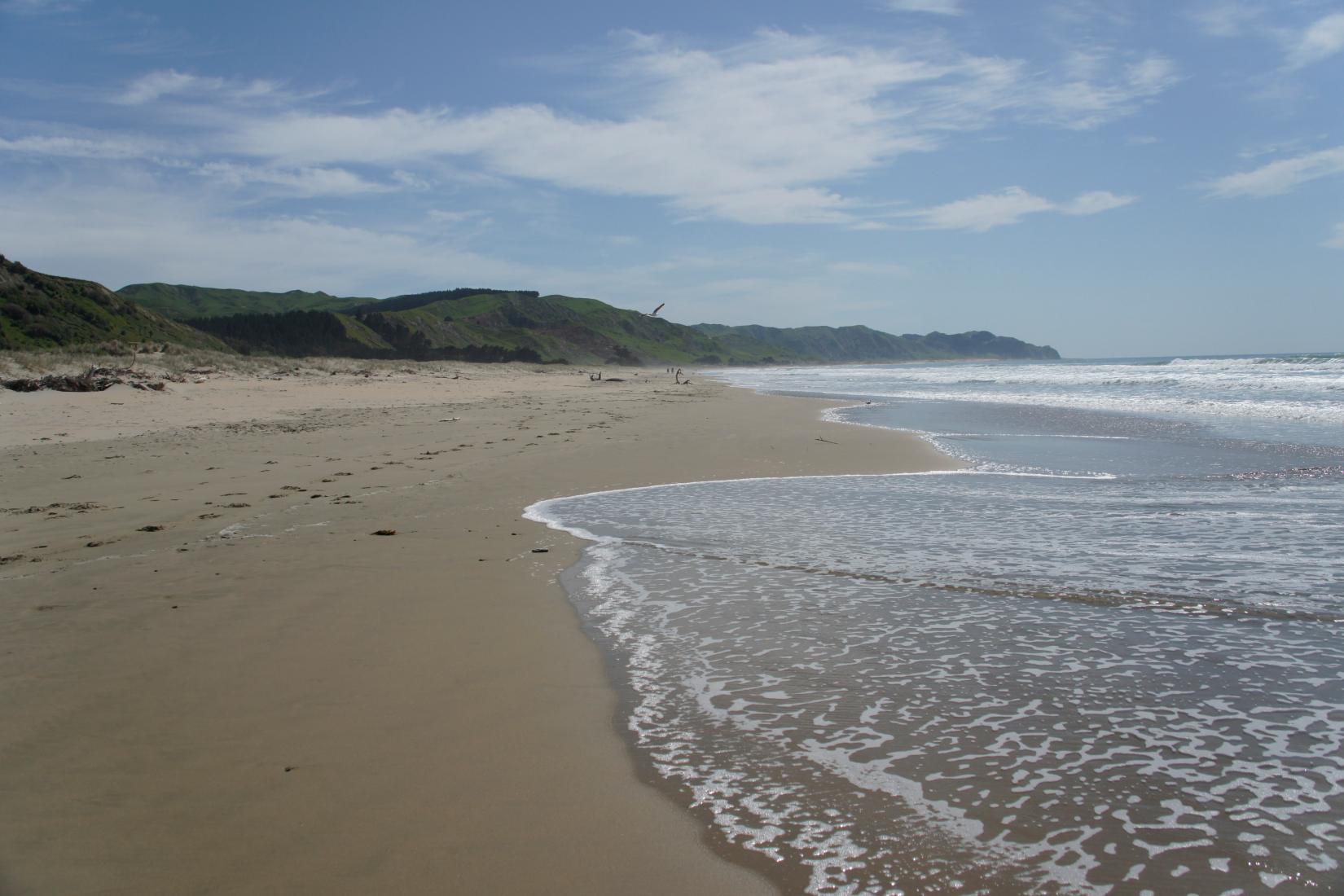 Sandee - Ocean Beach Hawkes Bay