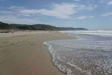 Sandee Ocean Beach Hawkes Bay