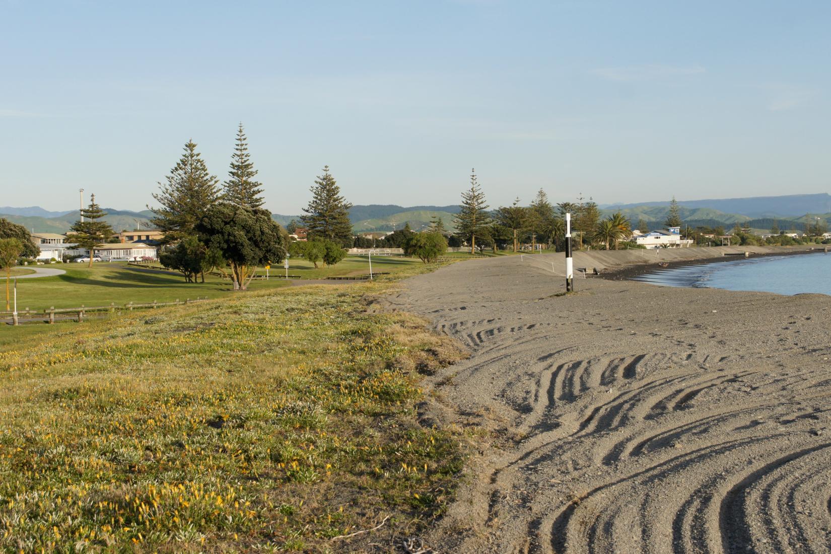 Napier Photo - Sandee