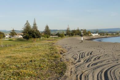 Sandee Westshore Beach Photo