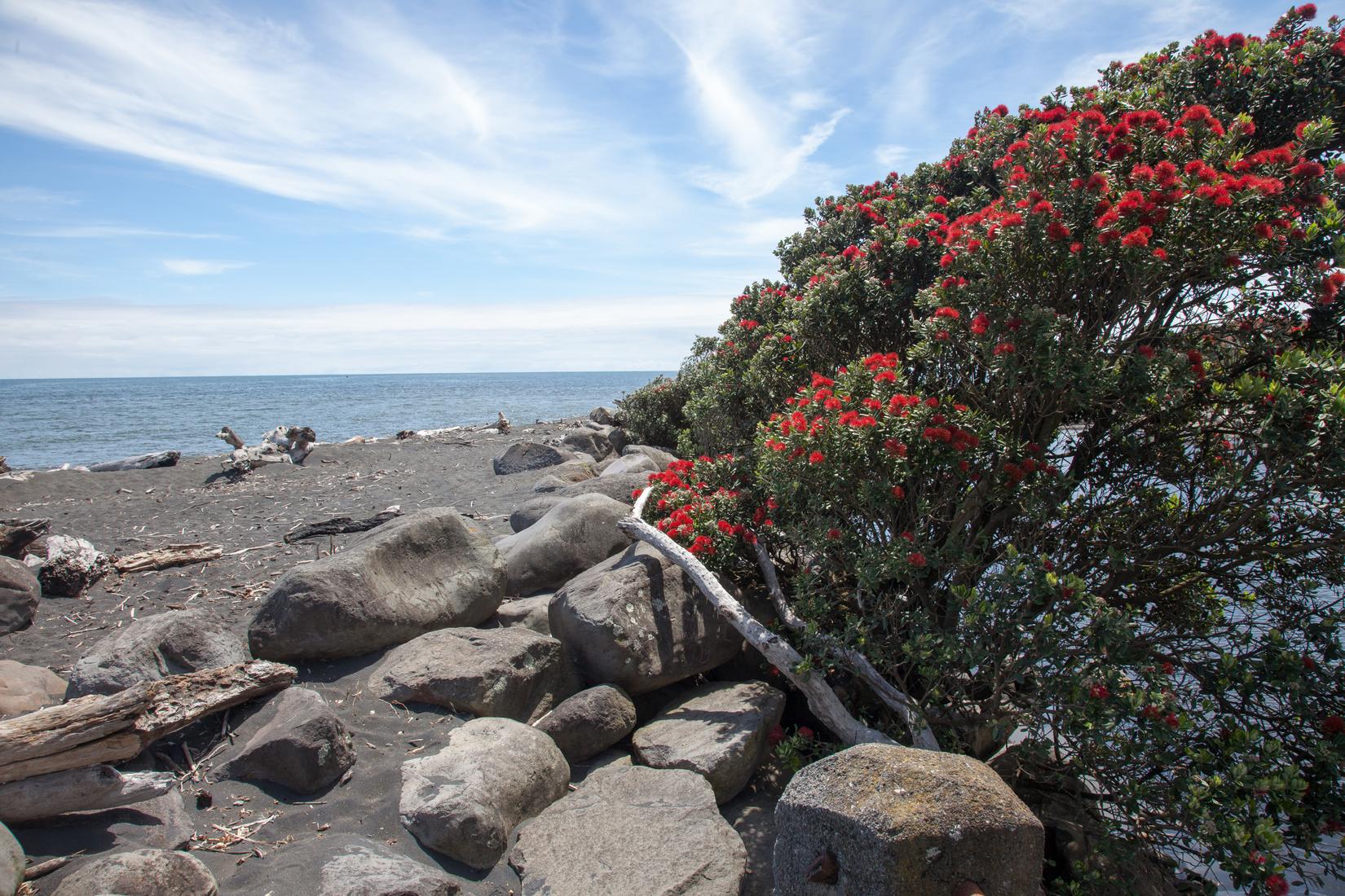 Sandee - East End Beach