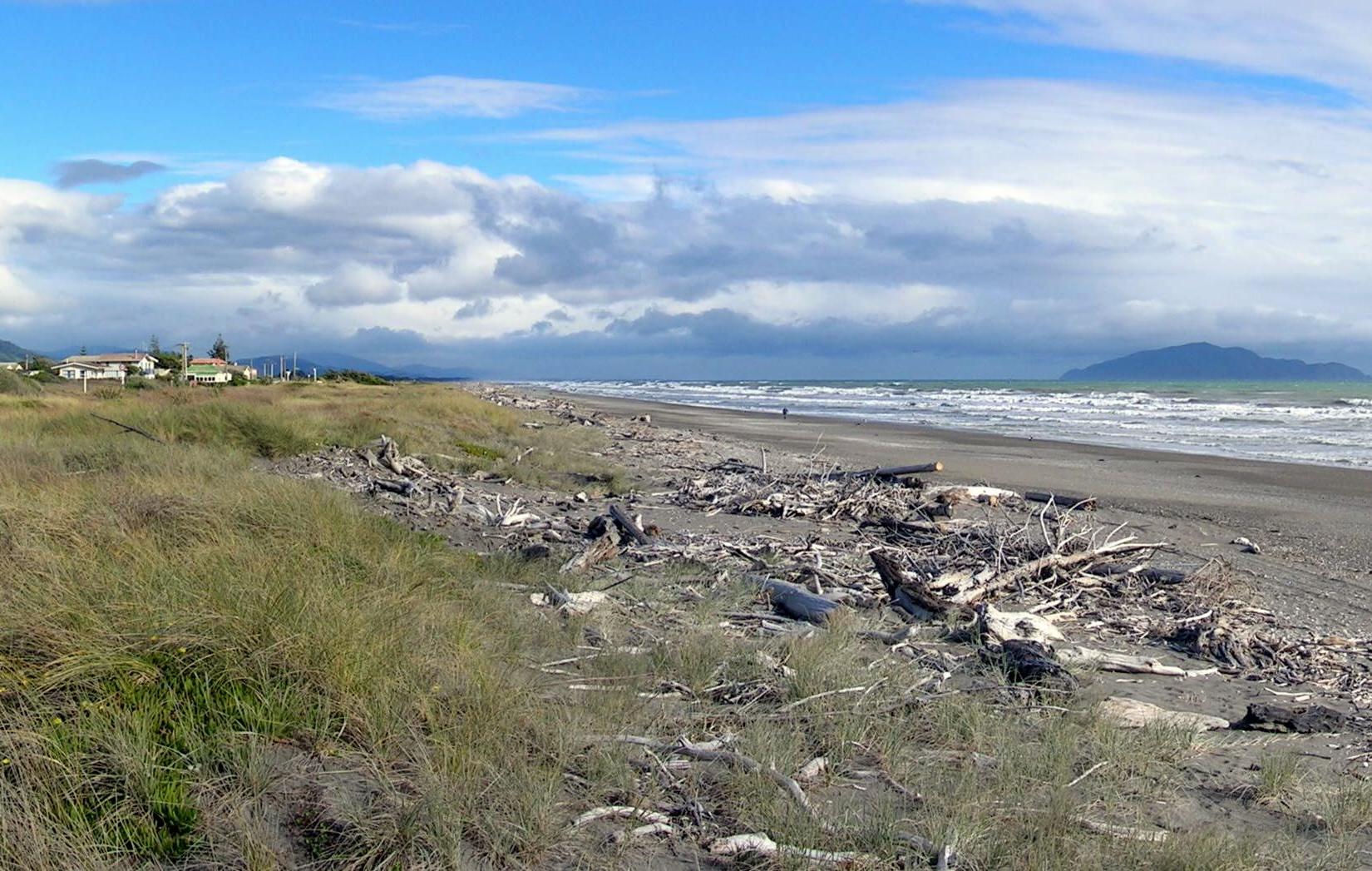 Sandee - HomePage / Otaki Beach