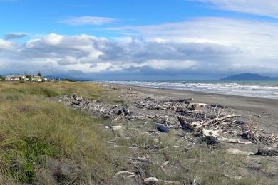 Sandee Otaki Beach