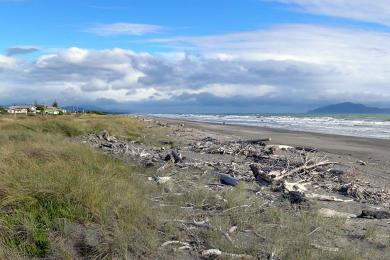 Sandee Otaki Beach Photo