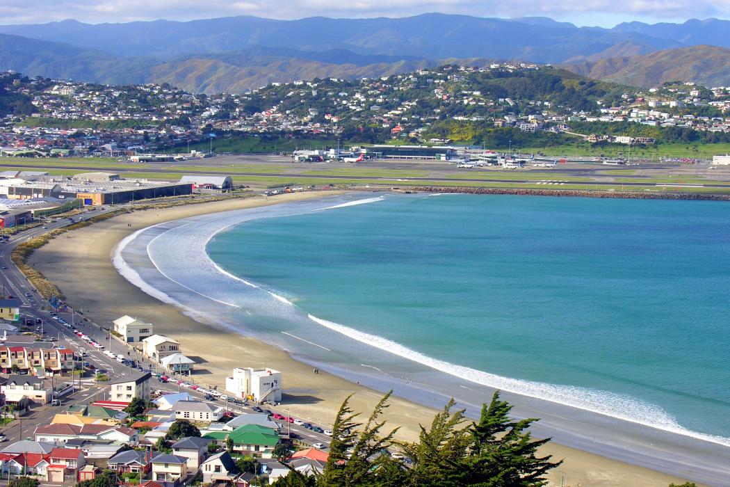 Sandee Lyall Bay Beach