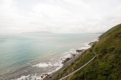 Sandee Paekakariki Beach Photo