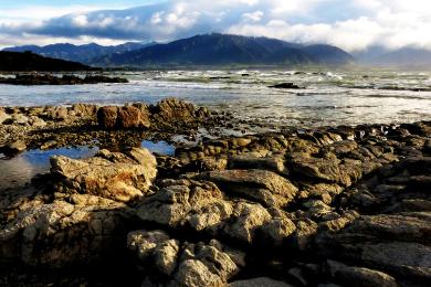 Sandee - Kaikoura Beach