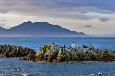 Sandee - Kaikoura Beach