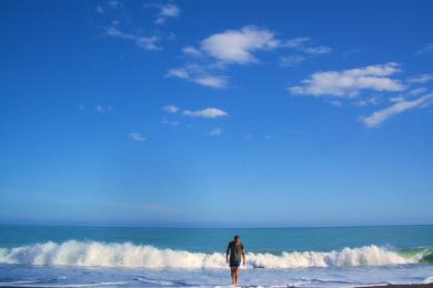 Sandee - Kaikoura Beach