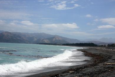 Sandee - Kaikoura Beach