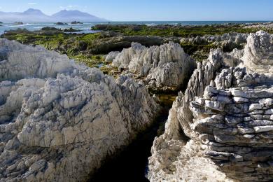 Sandee - Kaikoura Beach