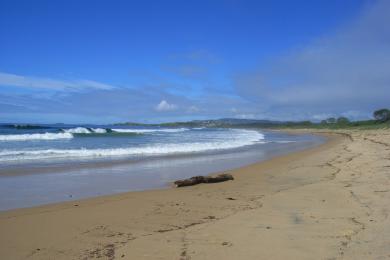 Sandee Sandy Beach Photo