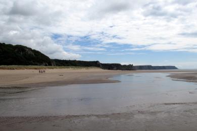 Sandee Oxwich Bay Beach