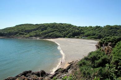 Sandee Pwlldu Bay Beach Photo