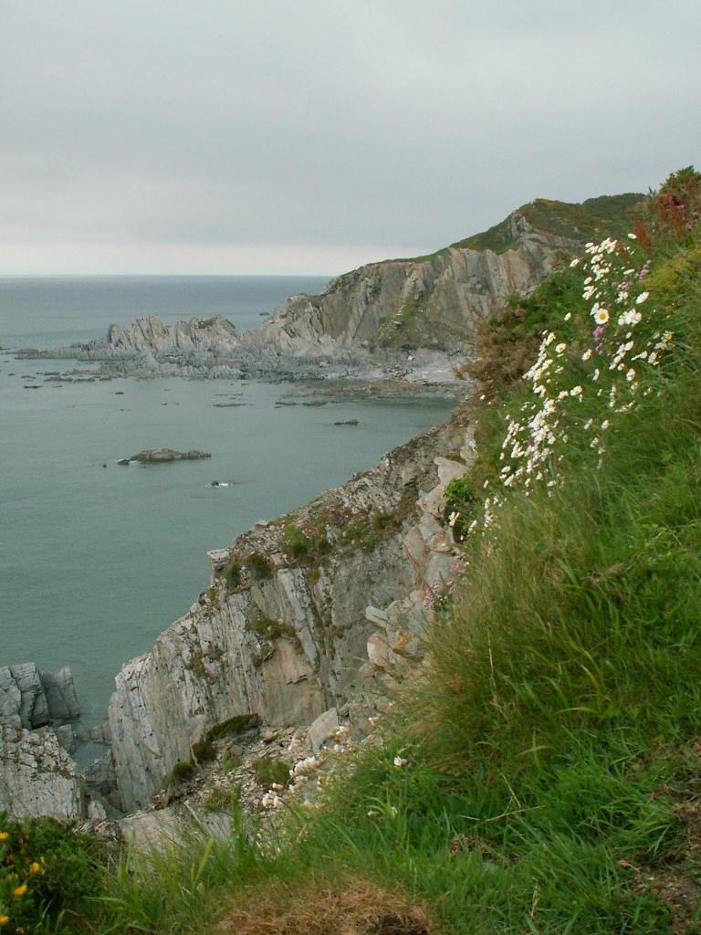 Sandee - Barricane Beach