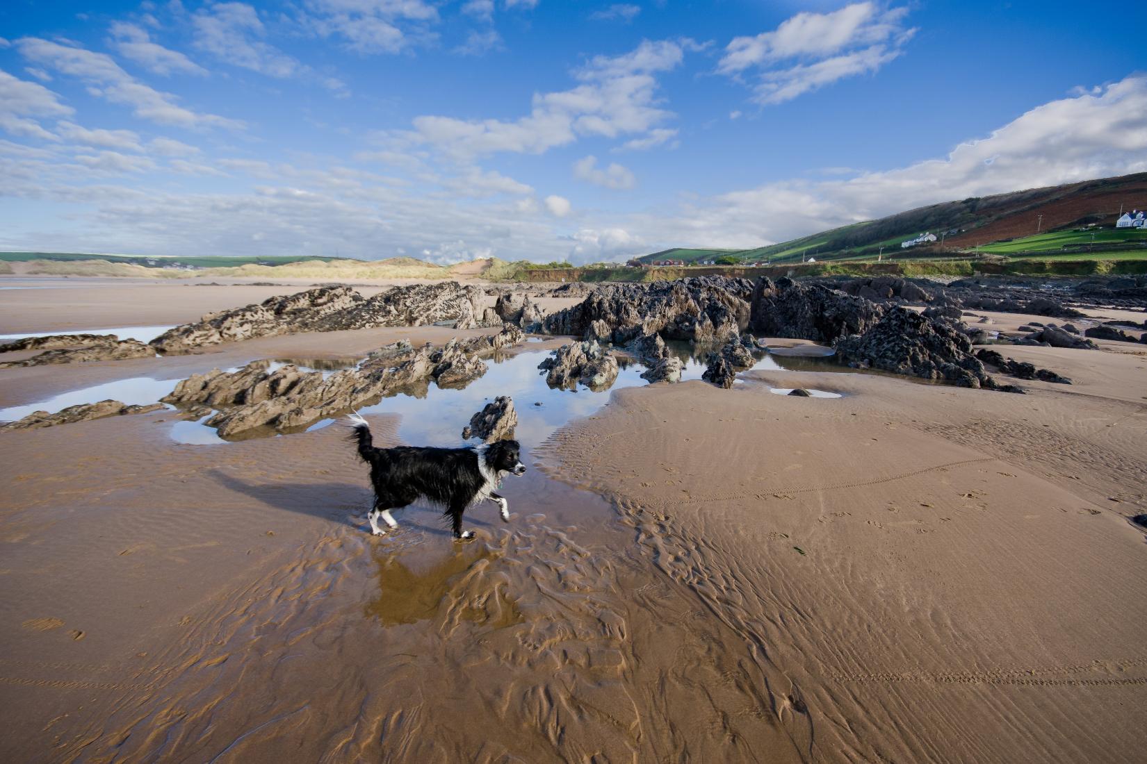 Sandee - Croyde Bay Beach