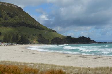 Sandee - Maunganui Beach