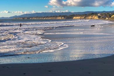 Sandee - Haskell's Beach