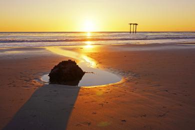 Sandee - Haskell's Beach