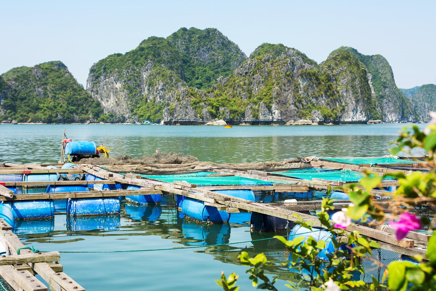 Sandee - HomePage / Haiphong