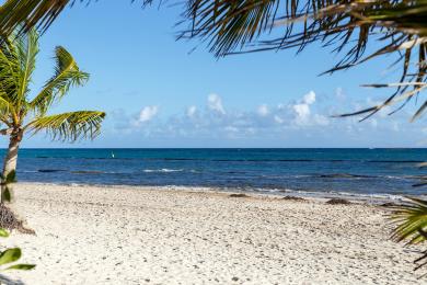 Sandee Playa Blanca Punta Cana Photo