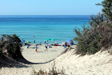 Sandee Spiaggia Di Punta Prosciutto