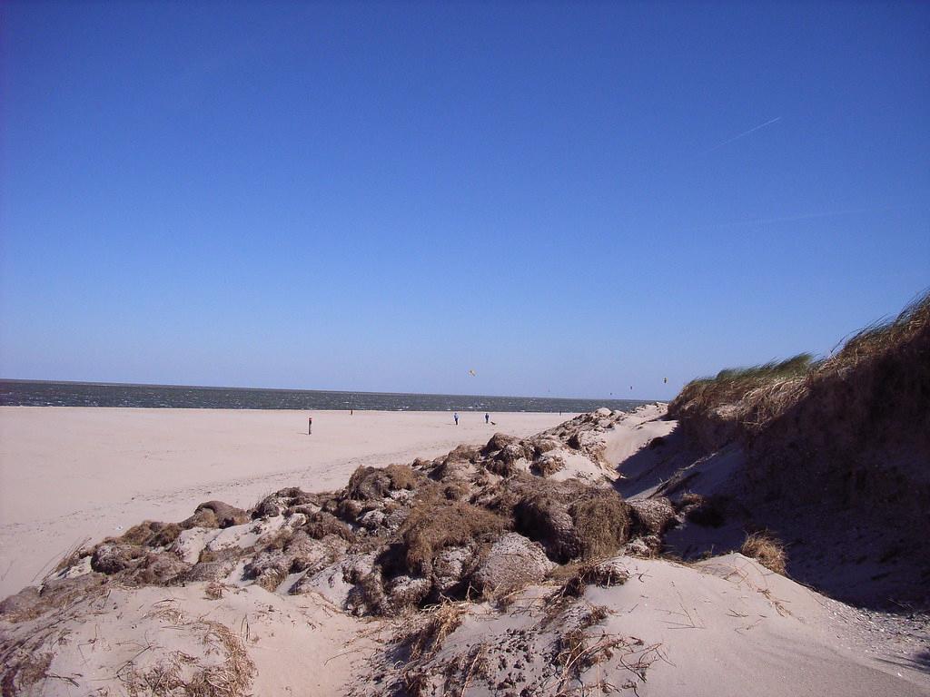 Sandee - HomePage / Den Hoorn Texel