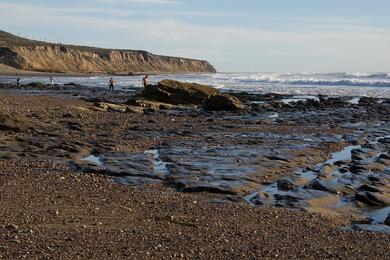 Sandee - Jalama Beach