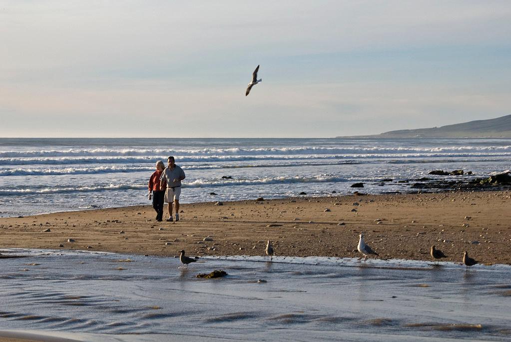 Sandee - Jalama Beach