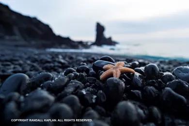 Sandee - Reynisfjara Beach