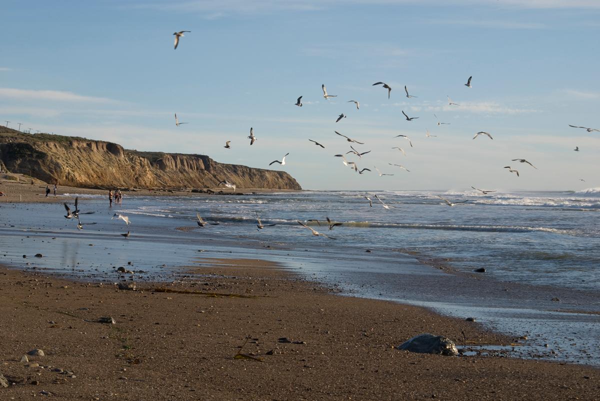 Sandee - Jalama Beach