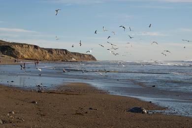 Sandee - Jalama Beach