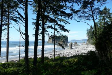 Sandee - Ruby Beach, Olympic National Park