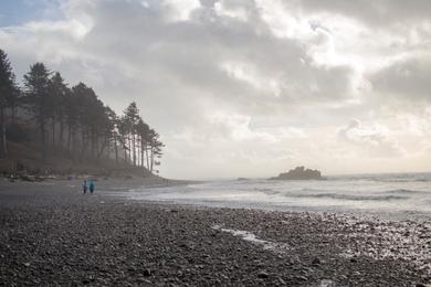 Sandee - Ruby Beach, Olympic National Park