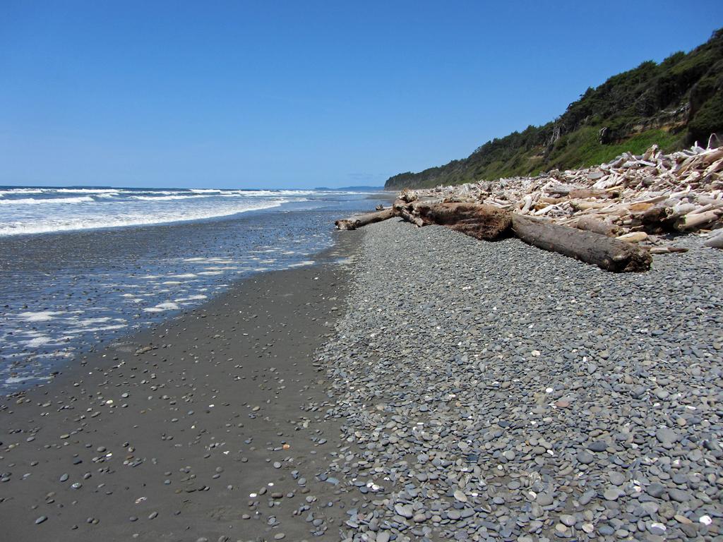 Sandee - Ruby Beach, Olympic National Park