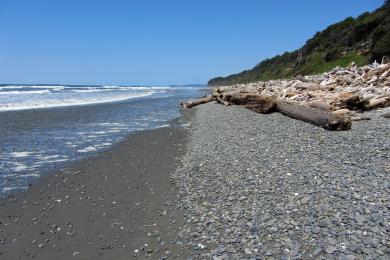 Sandee - Ruby Beach, Olympic National Park