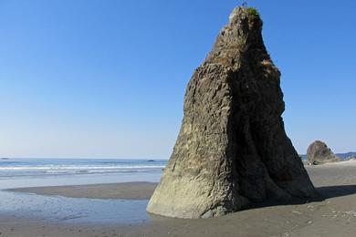 Sandee - Ruby Beach, Olympic National Park