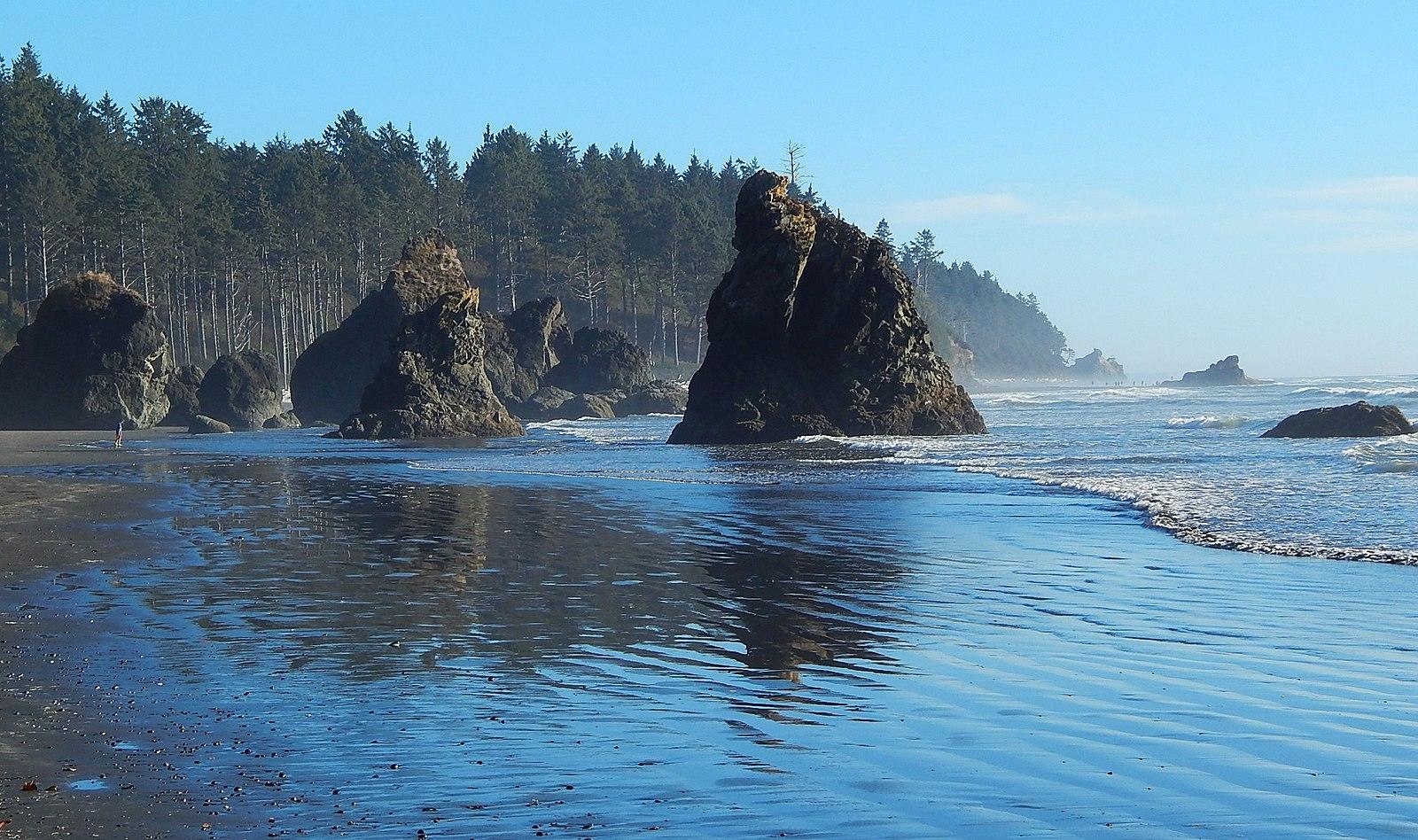 Sandee - Ruby Beach, Olympic National Park