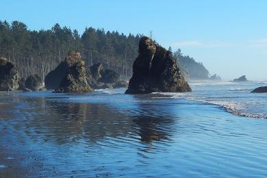 Sandee - Ruby Beach, Olympic National Park