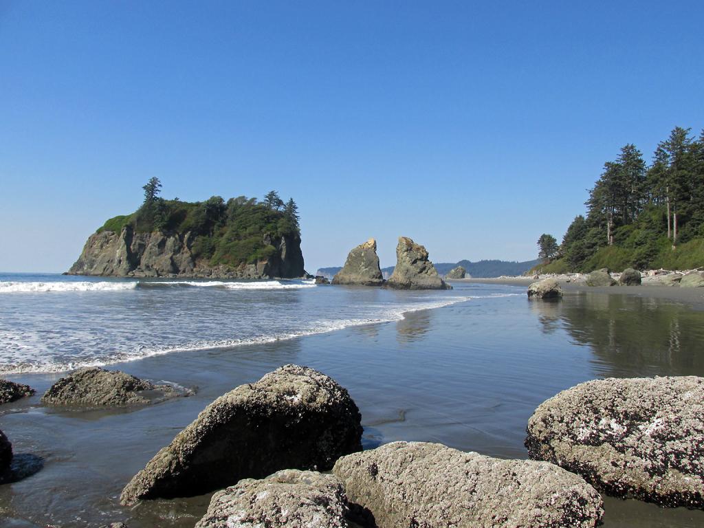 Sandee - Ruby Beach, Olympic National Park