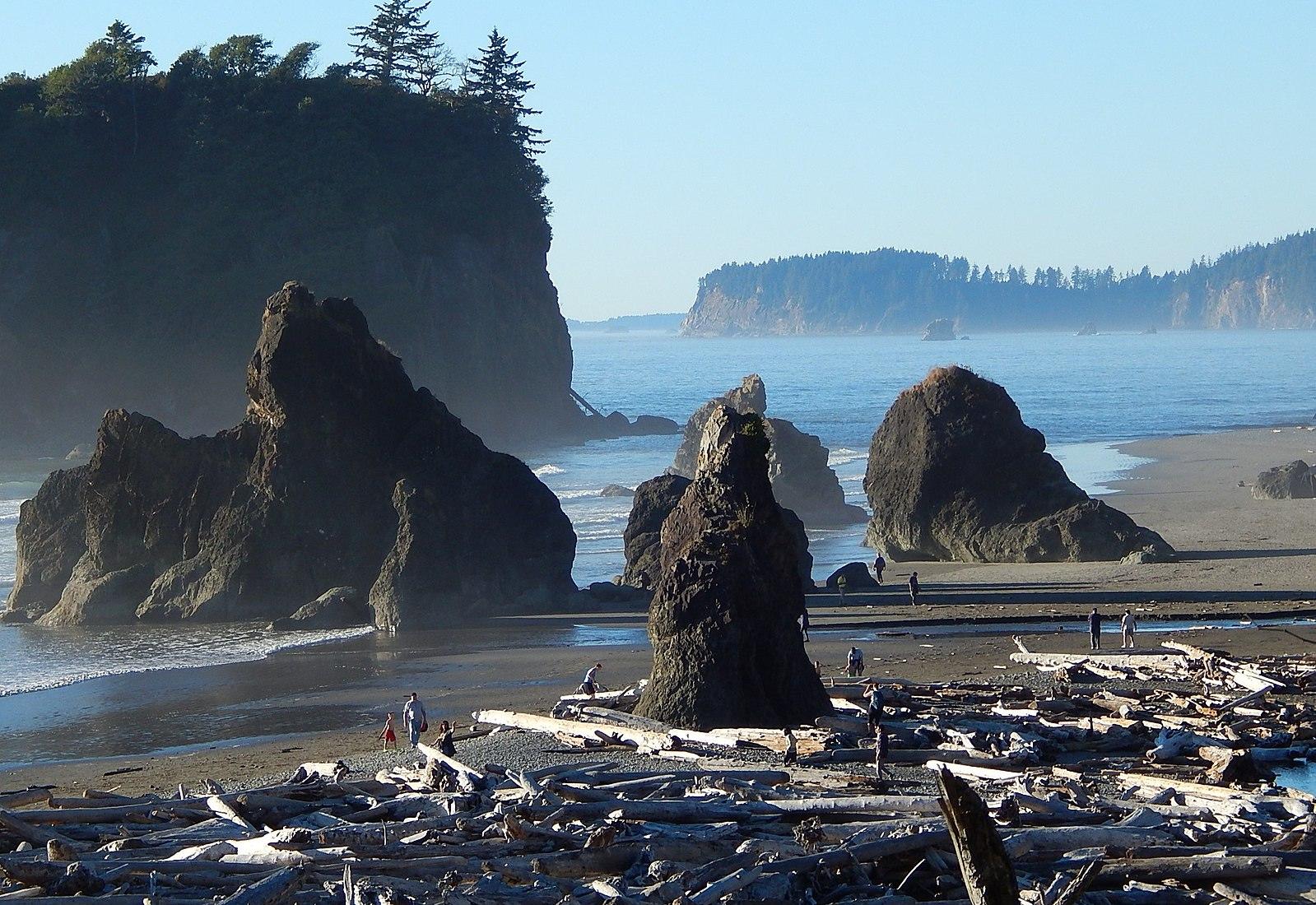 Sandee - Ruby Beach, Olympic National Park