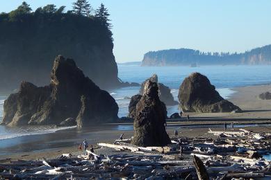 Sandee - Ruby Beach, Olympic National Park