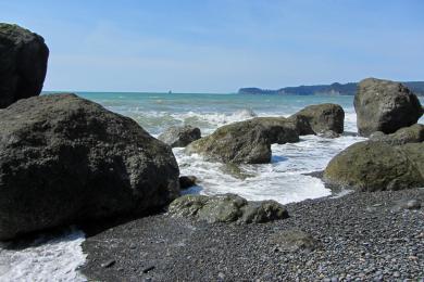 Sandee - Ruby Beach, Olympic National Park