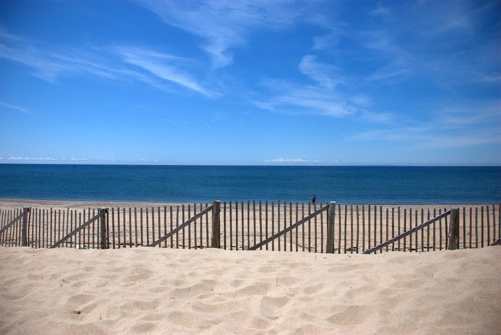 Sandee Race Point Beach Photo