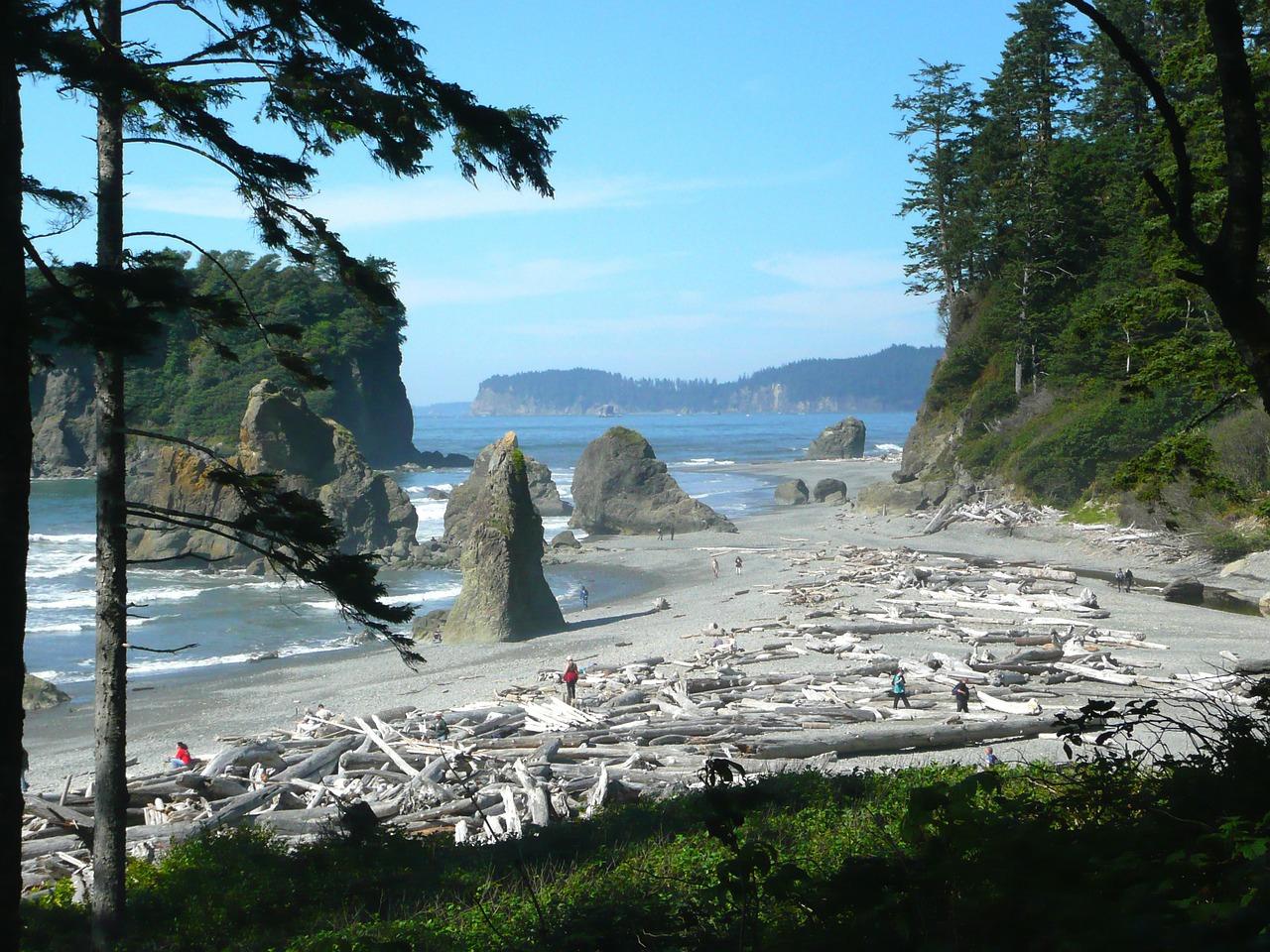 Sandee - Ruby Beach, Olympic National Park