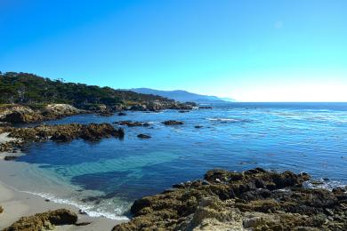 Sandee Cyprus Cove - Cyprus Shore Beach