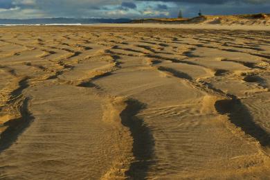 Sandee - Ruakaka Beach