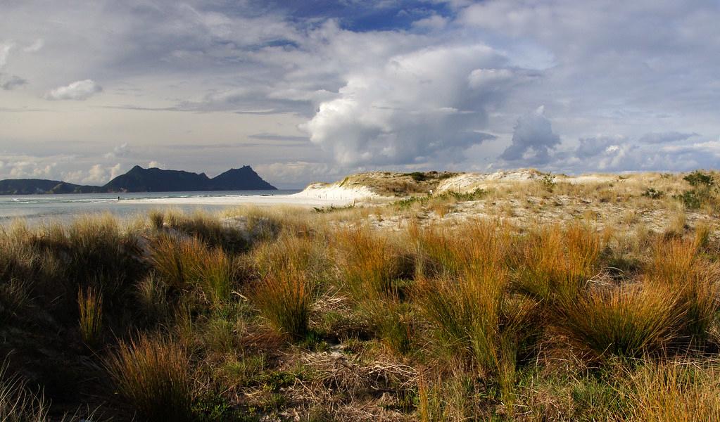 Sandee - Ruakaka Beach