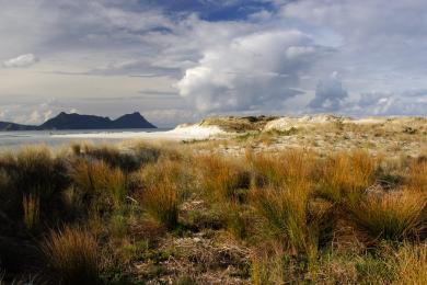 Sandee - Ruakaka Beach