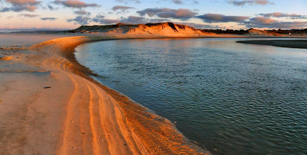 Sandee - Ruakaka Beach